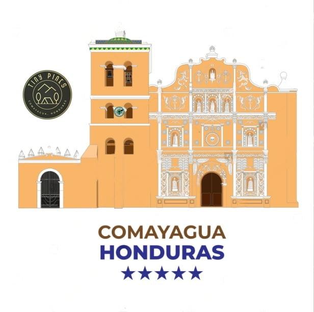 Comayagua Cathedral vector