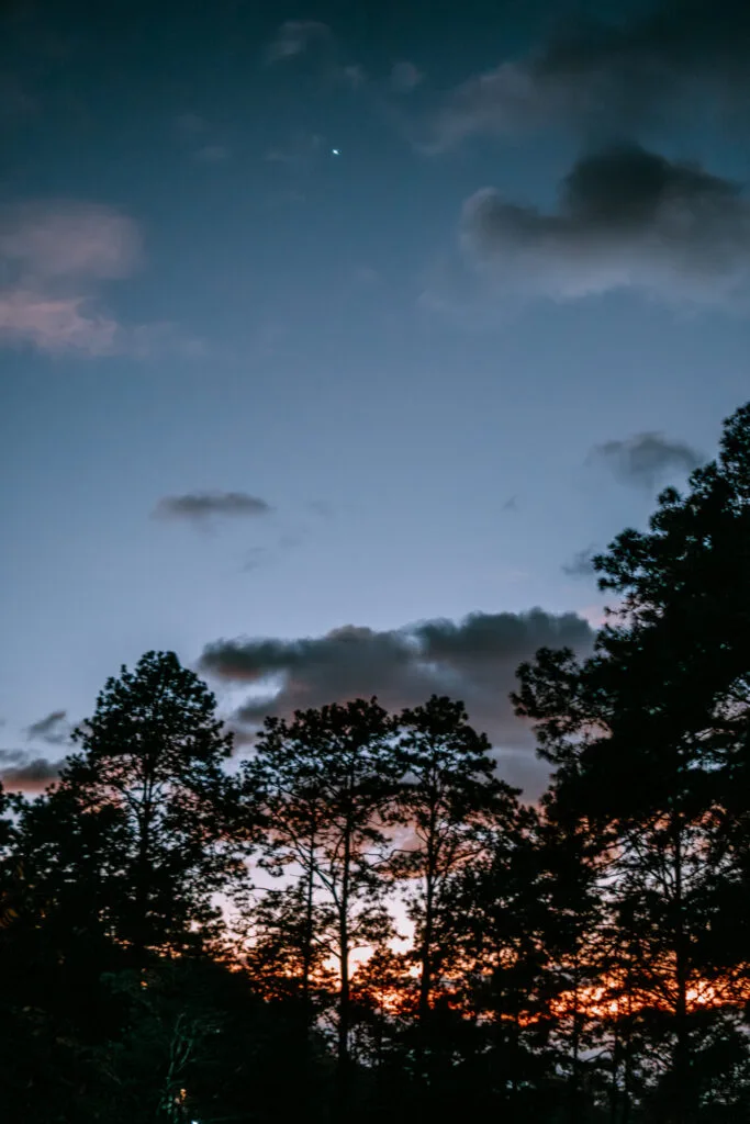 DSC07991 Enhanced NR