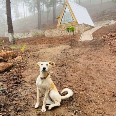 dfc0b981 d5f3 4c5d b125 298dfc2ad5ab